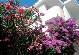 Apartmani Villa  Fit - Nasz Typ !!