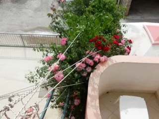 Apartmani Villa  Fit - Nasz Typ !!