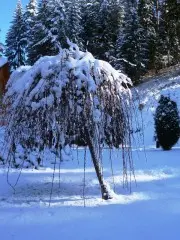 Hotel Bystrina
