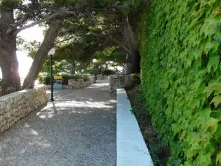 Hotel Punta Apartmani