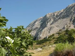 Hotel Punta Apartmani
