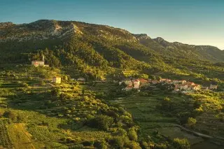Amicor Green Resort