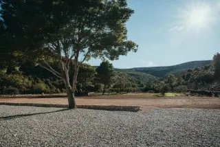 Maslina Resort