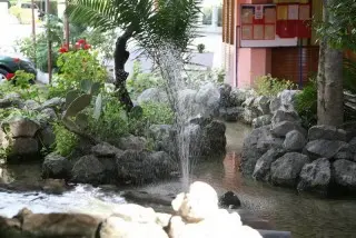 Hotel Kamelija