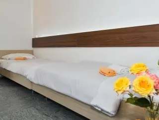 Hotel Kamelija