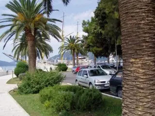 Hotel Kamelija