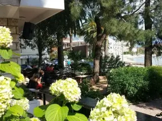 Hotel Mimoza