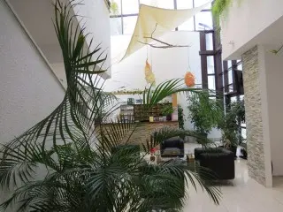 Hotel Baletna Śkola