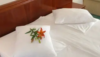 Hotel Villa Bacchus