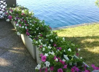Hotel Villa Ariston