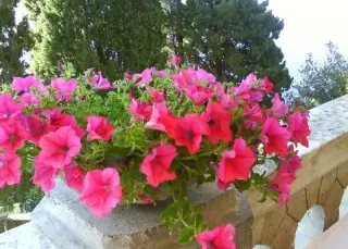 Hotel Villa Ariston