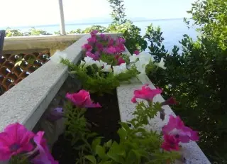 Hotel Villa Ariston