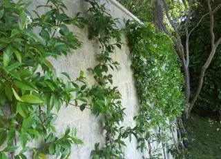 Hotel Villa Ariston