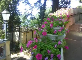 Hotel Villa Ariston