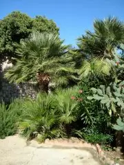 Villa San