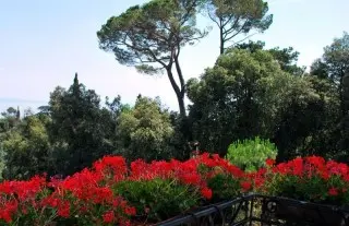 Amadria Park  Agava