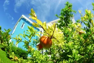 Family Resort Hotel Manora