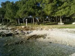 Pansion Ana