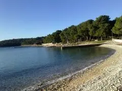 Pansion Ana