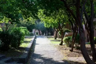 Apartmani Medena