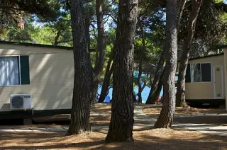 Arena Stupice Mobil Homes