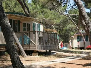 Arena Stupice Mobil Homes