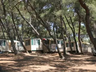 Arena Stupice Mobil Homes