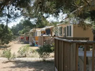 Arena Stupice Mobil Homes