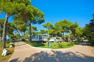 Arena Indije Mobil Homes
