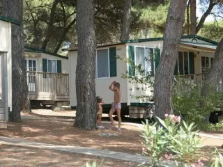 Arena Indije Mobil Homes
