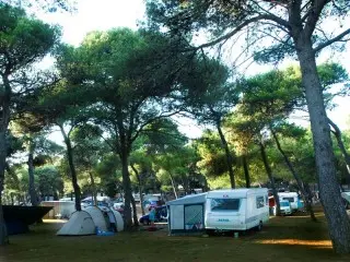 Arena Indije Mobil Homes