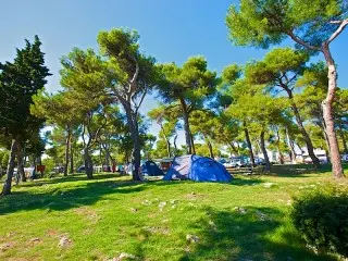 Arena Indije Mobil Homes