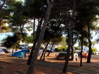 Arena Indije Mobil Homes