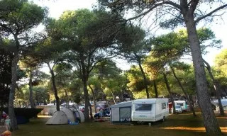 Arena Indije Mobil Homes