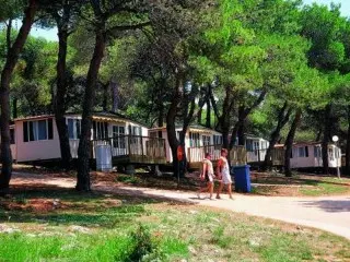 Arena Indije Mobil Homes