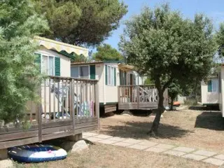 Arena Indije Mobil Homes