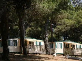 Arena Indije Mobil Homes