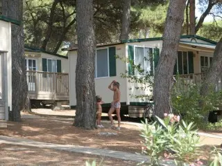 Arena Indije Mobil Homes