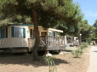 Arena Indije Mobil Homes