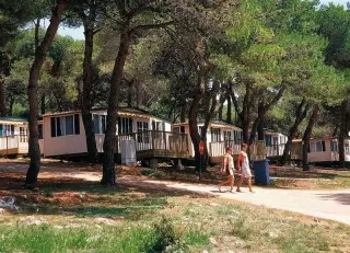 Arena Indije Mobil Homes