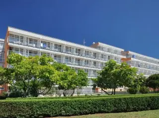 Arena Hotel Holiday 