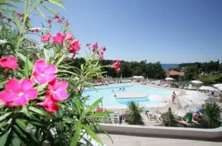 Hotel Albatros Plava Laguna All inclusive