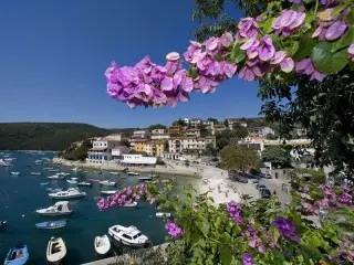 Marina Sunny Hotel