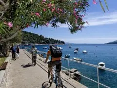  Allegro Sunny Hotel by Valamar