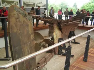 Hotel Mimoza opcja autokar 7/14 dni