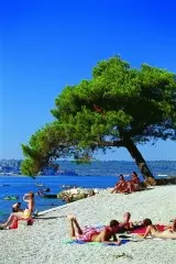Lanterna Sunny Resort by Valamar opcja z wyżywieniem !