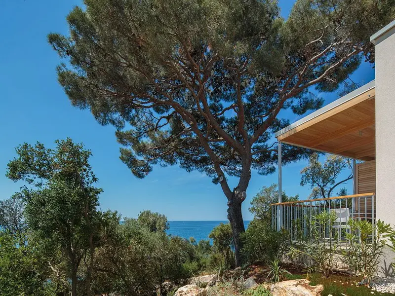 Isabella Island Resort