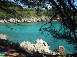 Valamar Koralj Hotel 