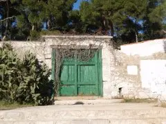 Villa Hortensja