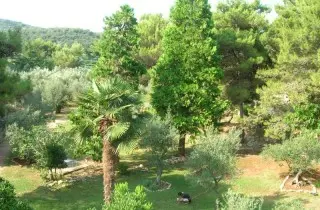 Hotel Kimen